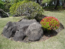 image0021