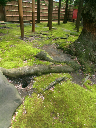 image0027