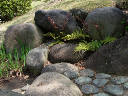 image0036
