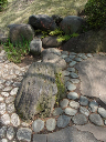 image0039