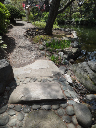 image0044