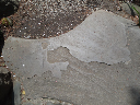 image0046