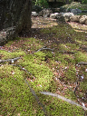 image0047