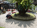 image0058