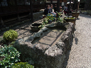 image0061