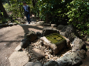 image0071