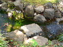 image0075