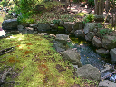 image0077
