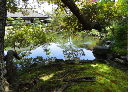 image0079