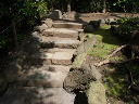 image0081