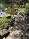 image0082