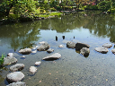 image0084