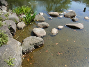 image0085