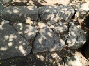 image0086