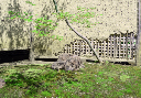 image0092