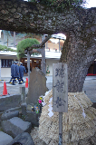 image0057