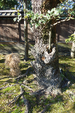 image0085
