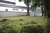 image0014