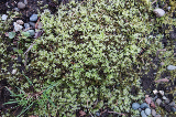 image0015