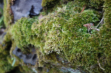 image0025