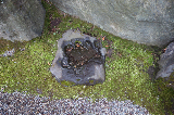 image0026