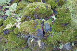 image0030