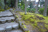 image0031