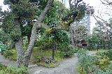 image0035