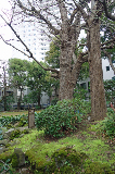 image0036