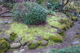 image0037