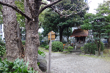 image0038