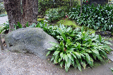 image0039
