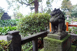 image0041