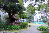 image0043