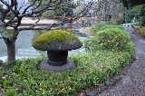 image0045