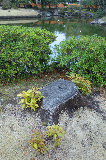 image0051
