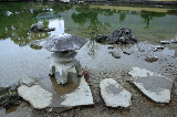 image0058