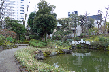 image0062