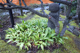image0067