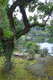 image0068