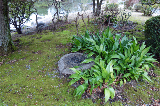 image0071