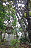 image0075